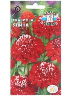 Семена цветов Скабиоза