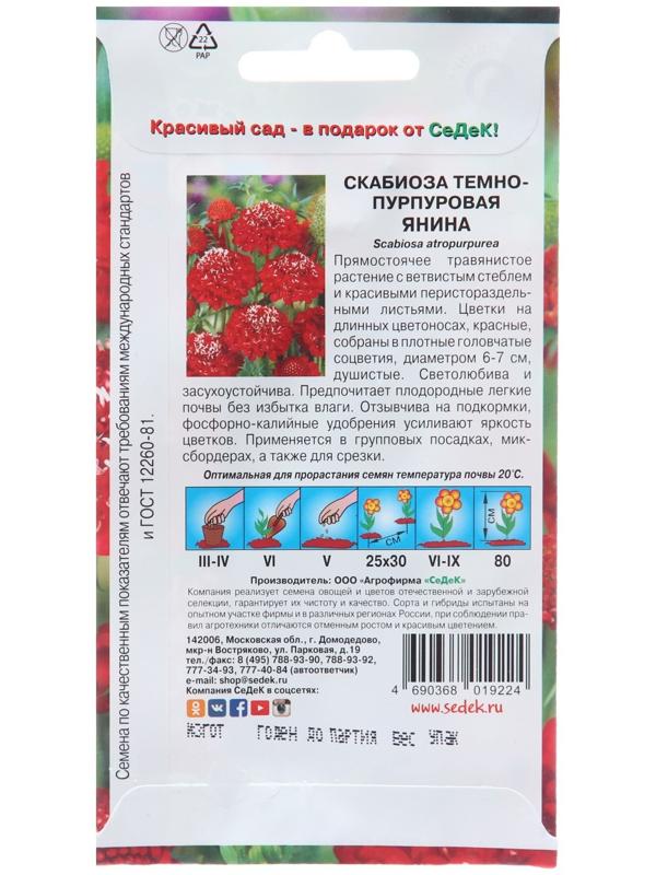 Семена цветов Скабиоза