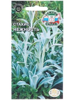 Семена цветов Стахис 