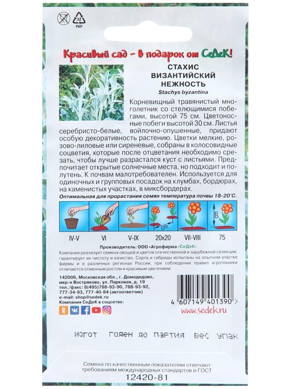 Семена цветов Стахис 