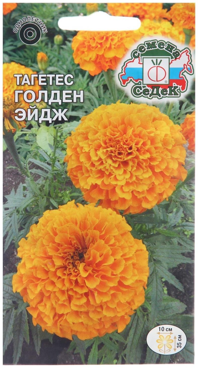 Семена цветов Тагетес 