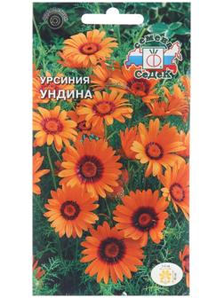 Семена цветов Урсиния 