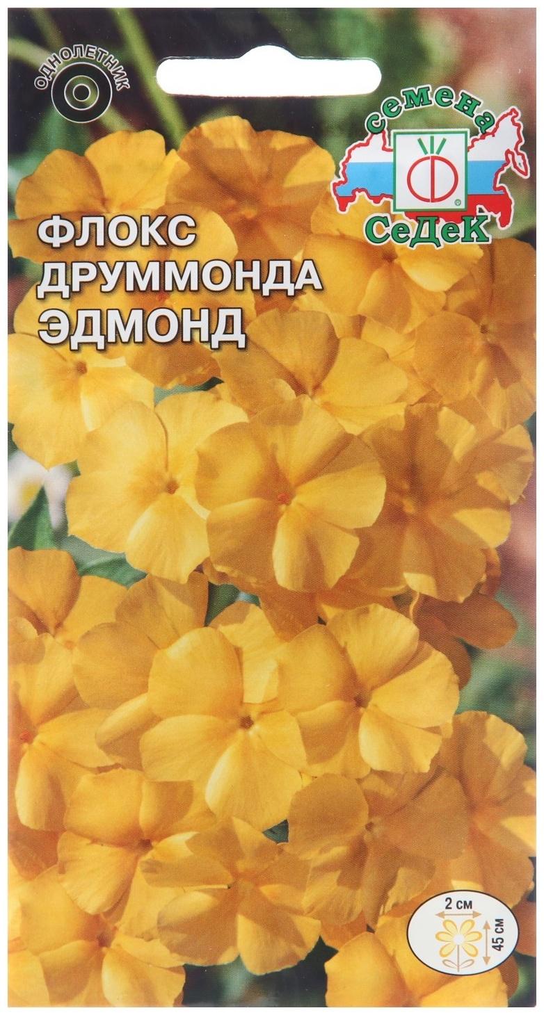 Семена цветов Флокс 