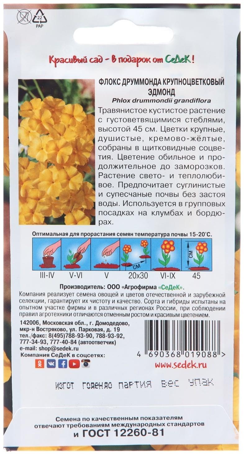 Семена цветов Флокс 