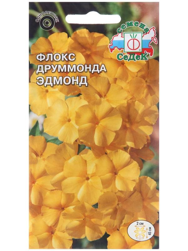 Семена цветов Флокс 