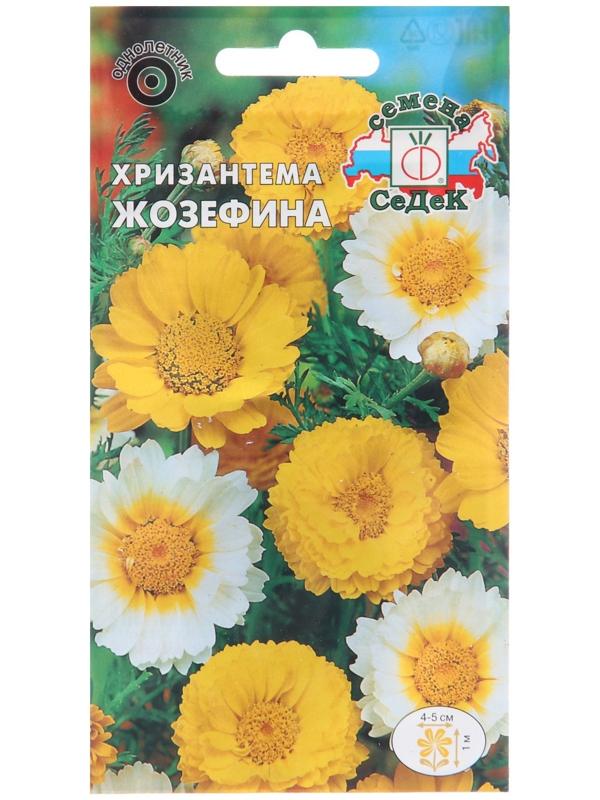 Семена цветов Хризантема 