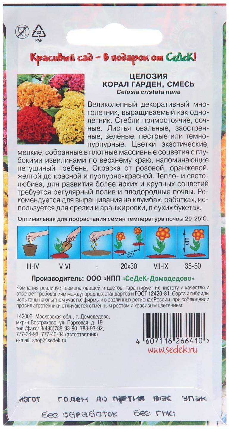 Семена цветов Целозия 