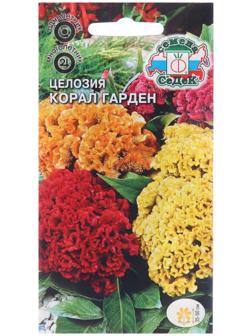 Семена цветов Целозия 