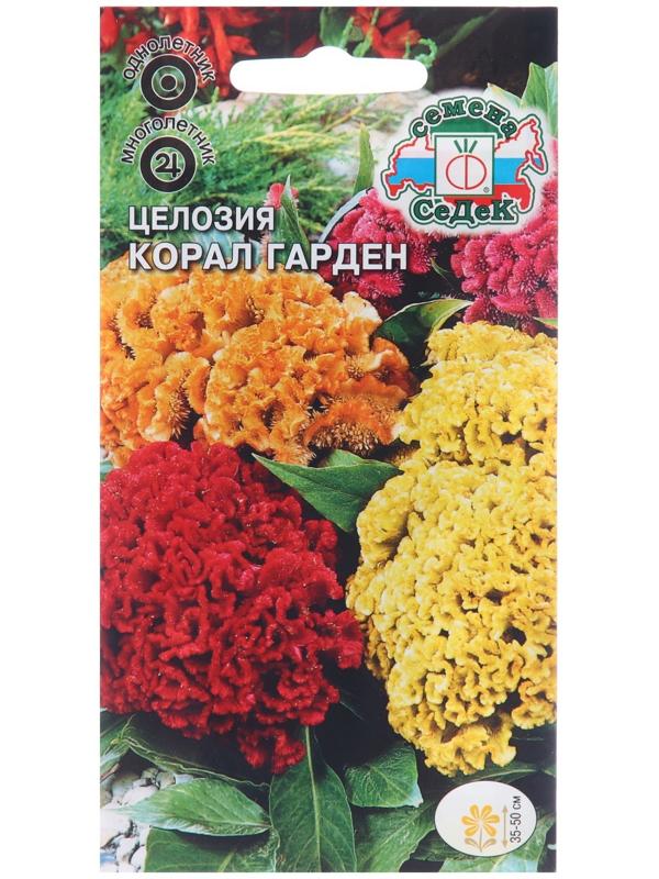 Семена цветов Целозия 
