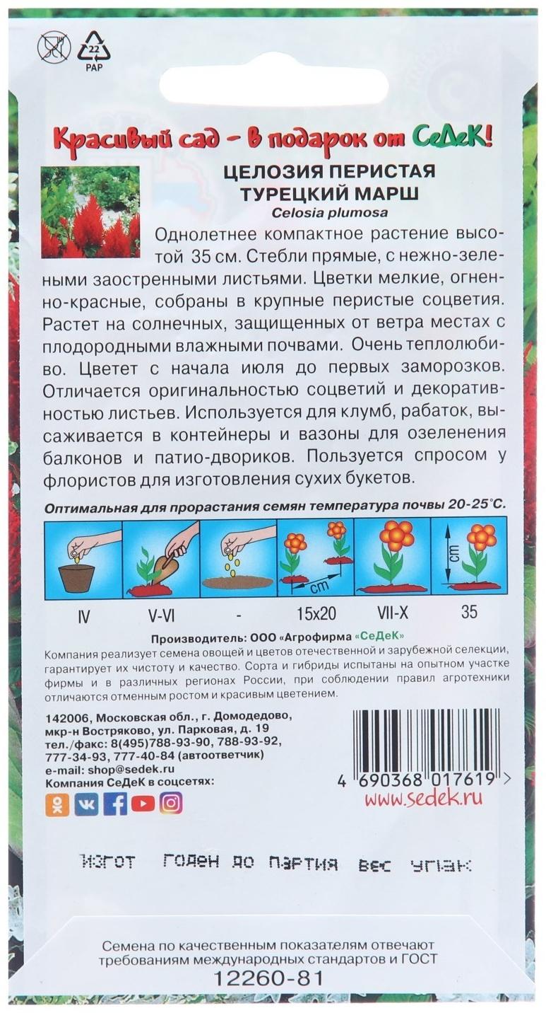 Семена цветов Целозия 