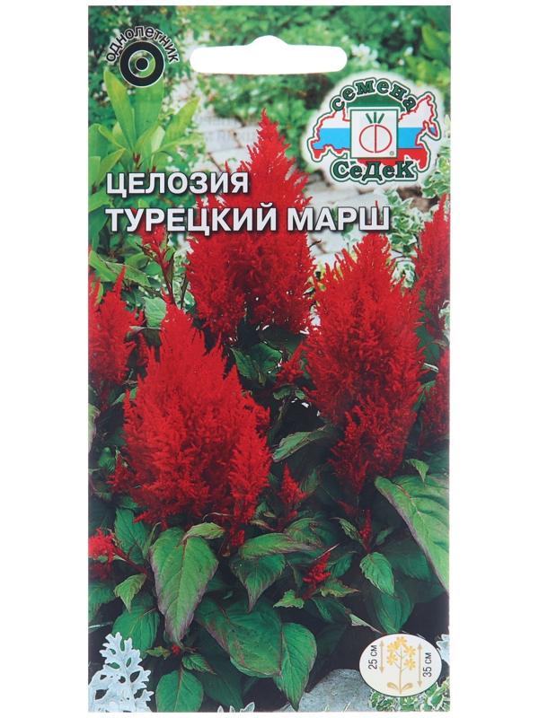 Семена цветов Целозия 