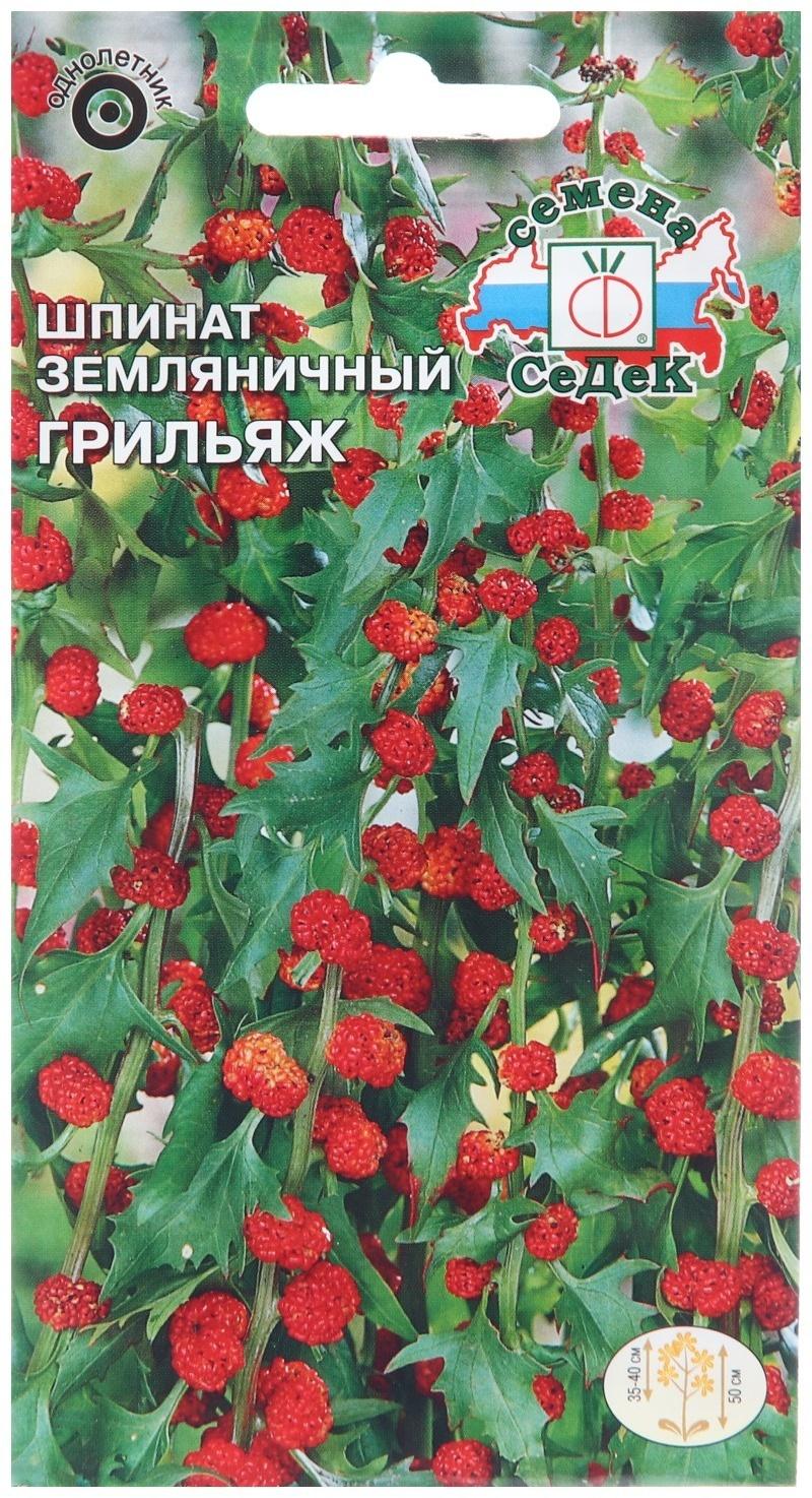 Семена цветов Шпинат