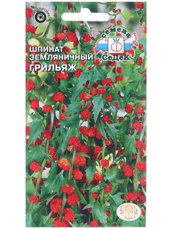 Семена цветов Шпинат