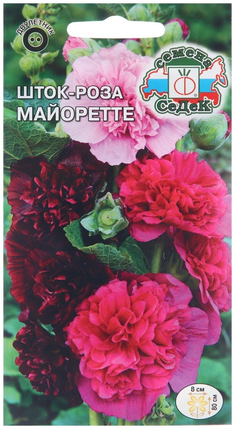 Семена цветов Шток-роза 