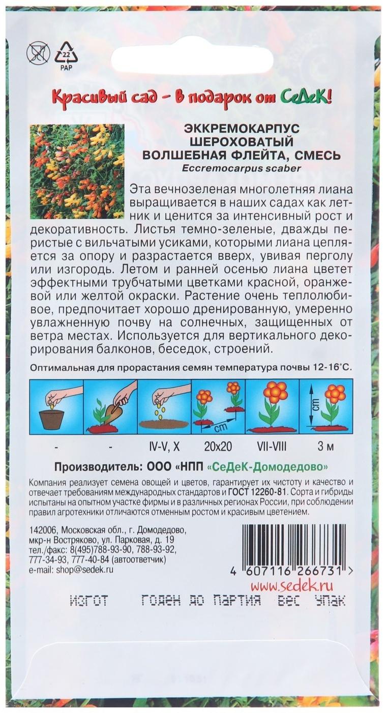 Семена цветов Эккремокарпус 