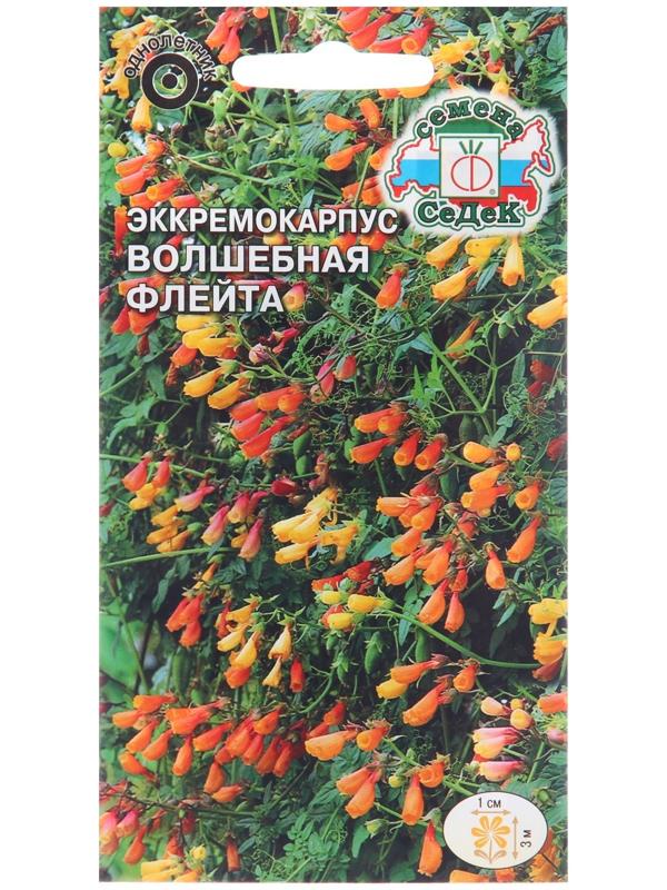 Семена цветов Эккремокарпус 