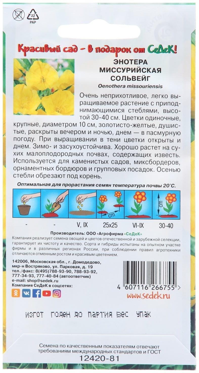 Семена цветов Энотера 