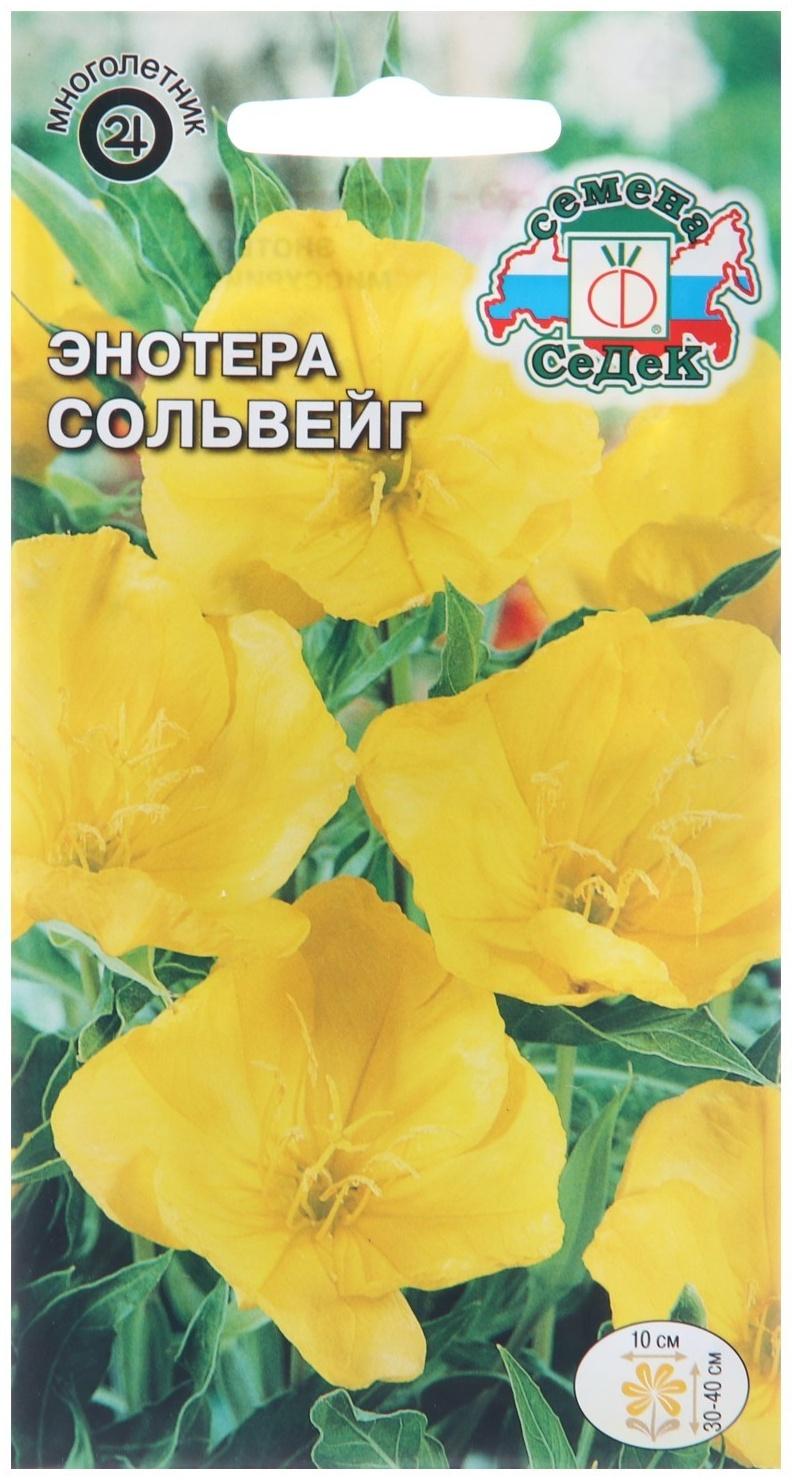 Семена цветов Энотера 