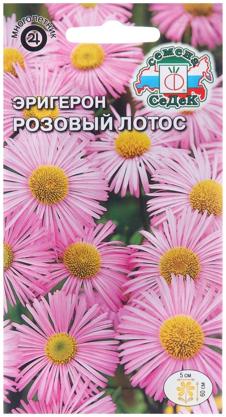 Семена цветов 