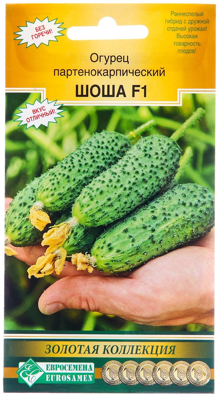 Семена Огурец партенокарпик Шоша F1, 5 шт