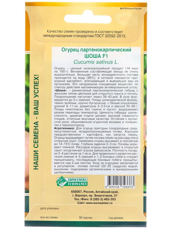 Семена Огурец партенокарпик Шоша F1, 5 шт