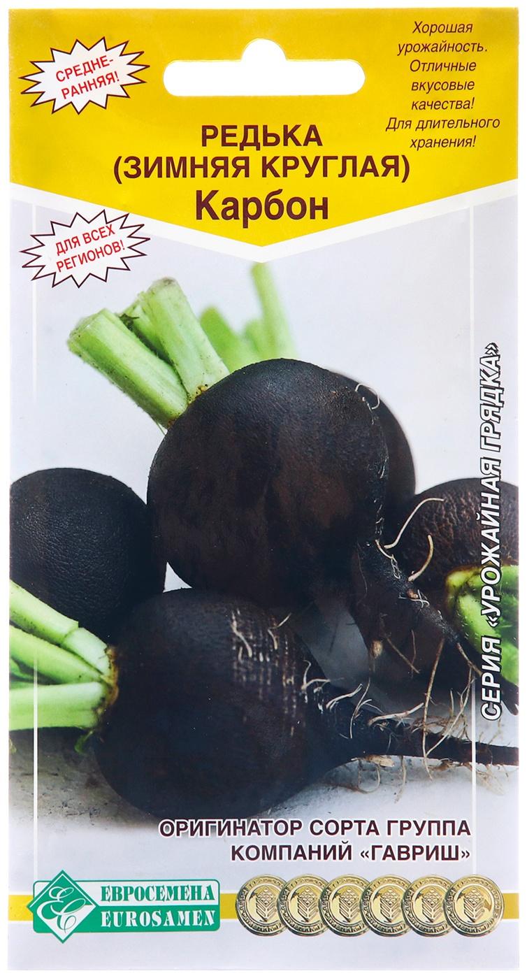 Семена Редька 