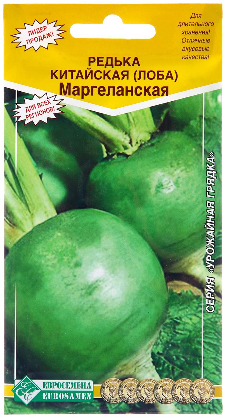 Семена Редька 