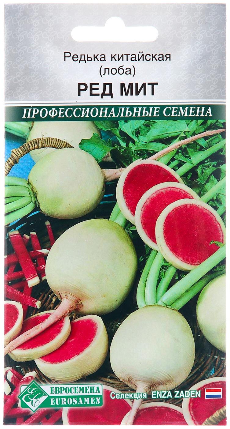 Семена Редька 