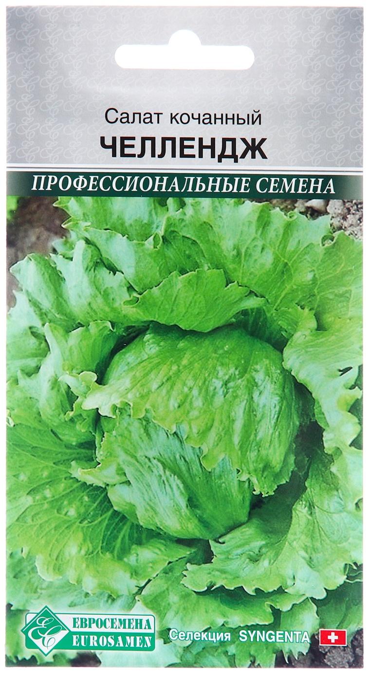 Семена Салат 