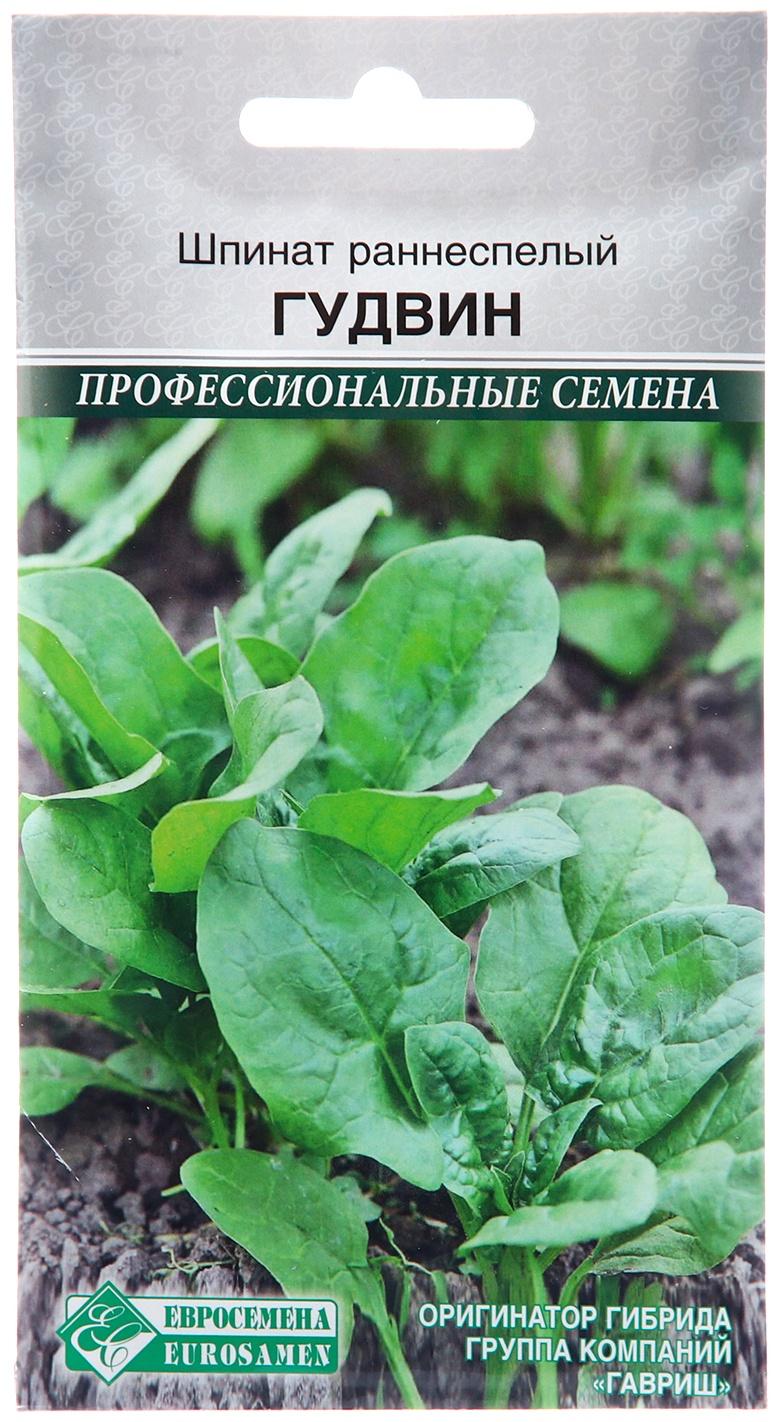 Семена Шпинат 