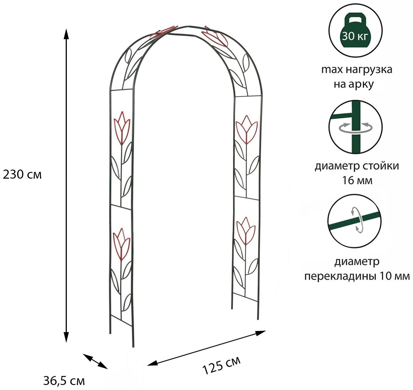Арка садовая, разборная, 230 × 125 × 36.5 см, металл, зелёная, «Тюльпан»