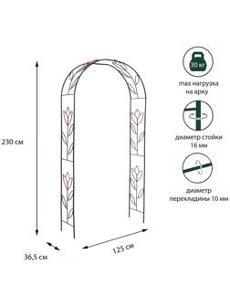Арка садовая, разборная, 230 × 125 × 36.5 см, металл, зелёная, «Тюльпан»