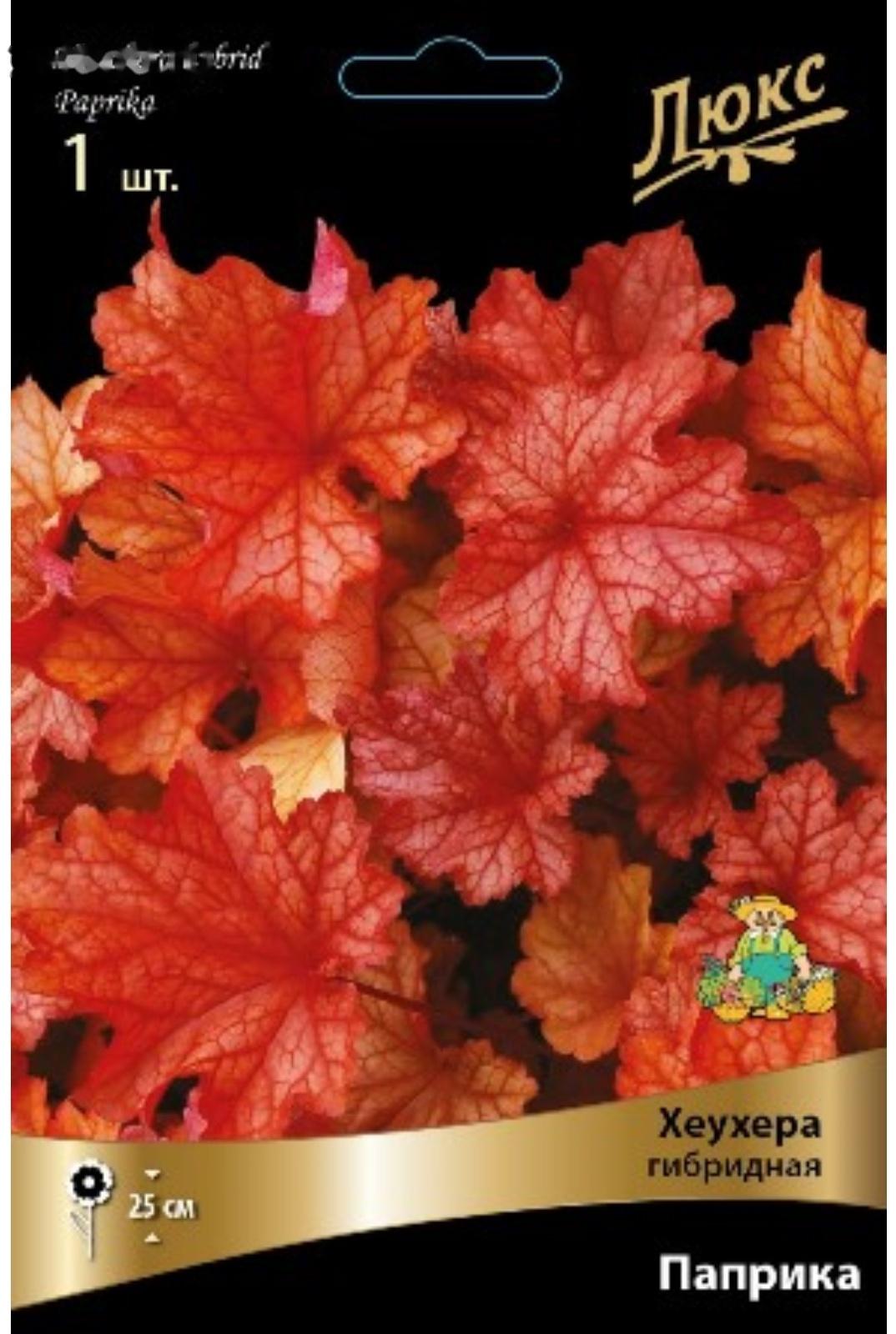 Гейхера (Хеухера) 