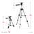 ЗУБР ШП-65, элевационный штатив (34942)