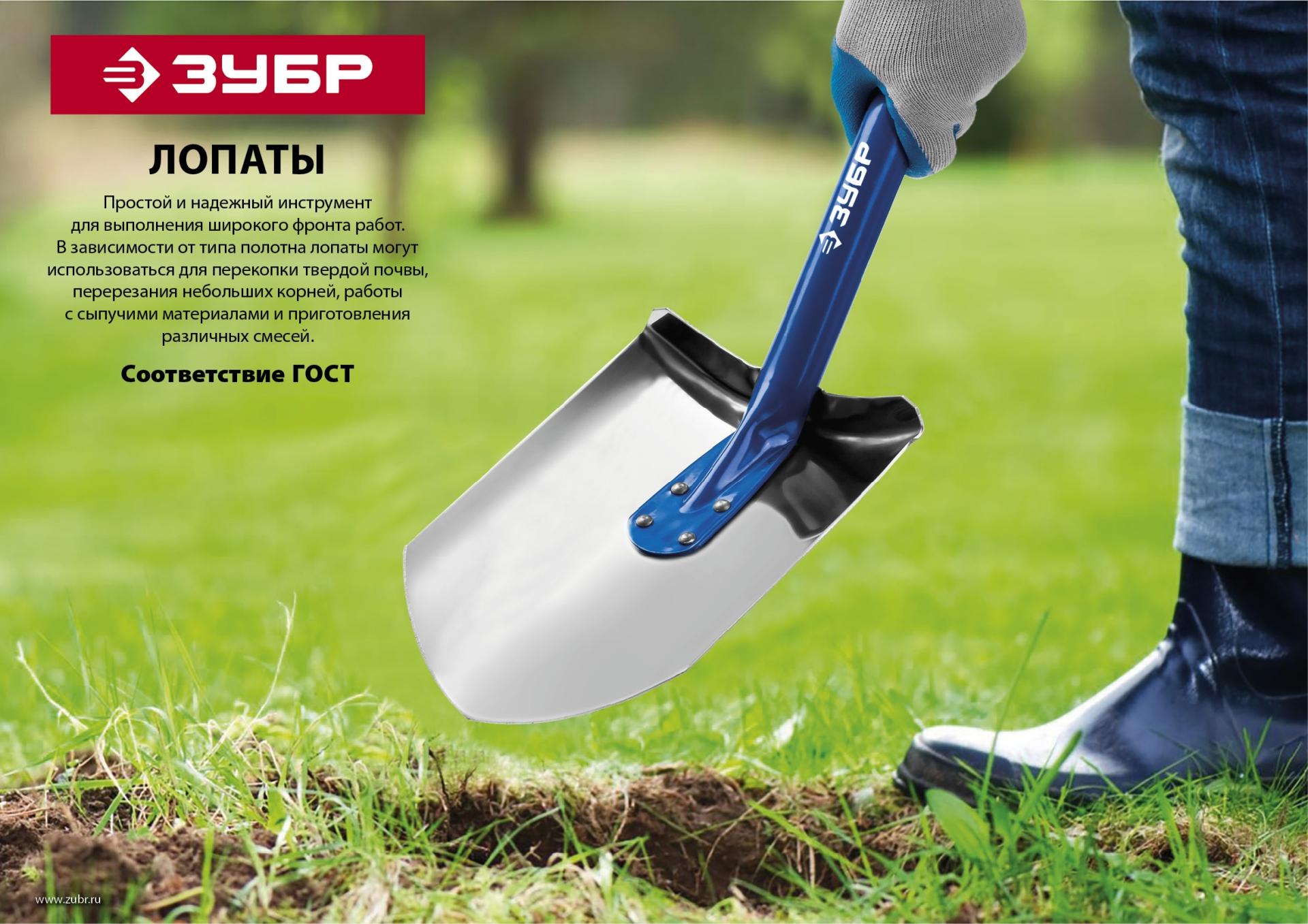 Лопата ЗУБР Фаворит, 310 х 215 х 1500 мм, полотно 1.7 мм закалено, дерев. лакир. черенок высш. сорт, штыковая прямоугольная лопата, Профессионал (4-39511)