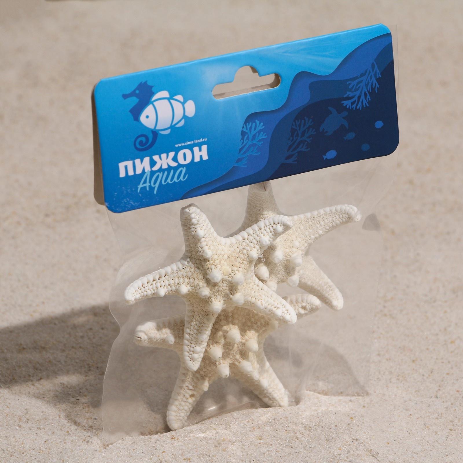 Набор из 3 морских звезд, размер каждой 5-10 см, белые