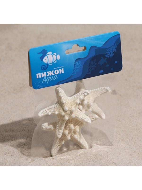 Набор из 3 морских звезд, размер каждой 5-10 см, белые