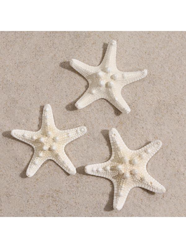 Набор из 3 морских звезд, размер каждой 5-10 см, белые
