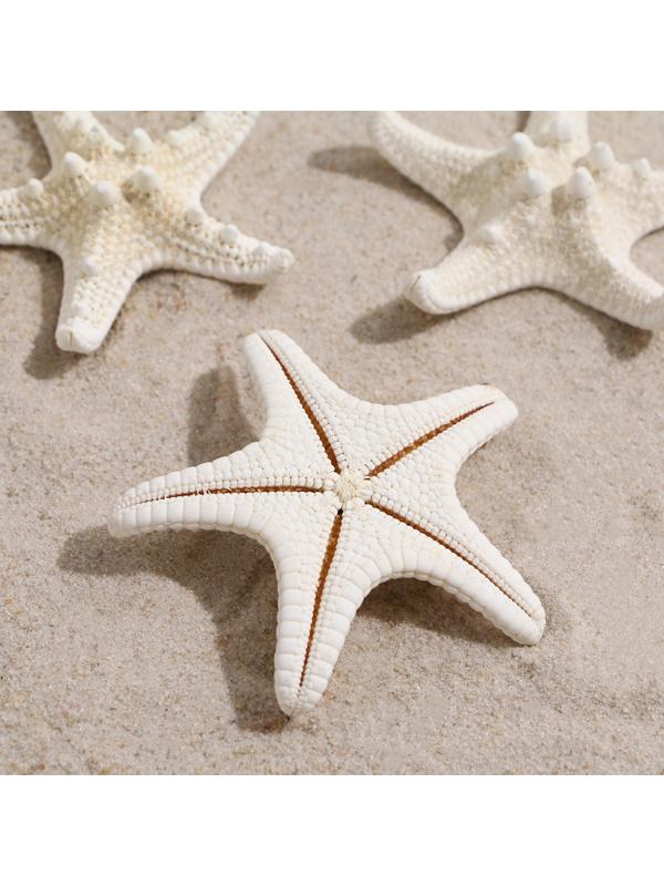 Набор из 3 морских звезд, размер каждой 5-10 см, белые