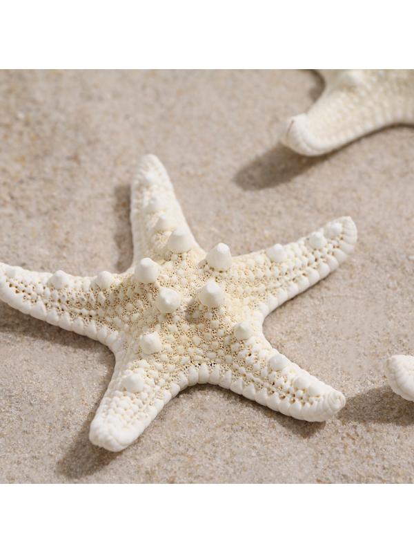 Набор из 3 морских звезд, размер каждой 5-10 см, белые