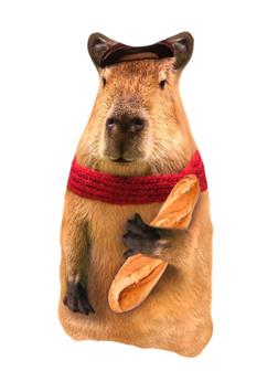 Игрушка-антистресс Капибара с багетом 30 см