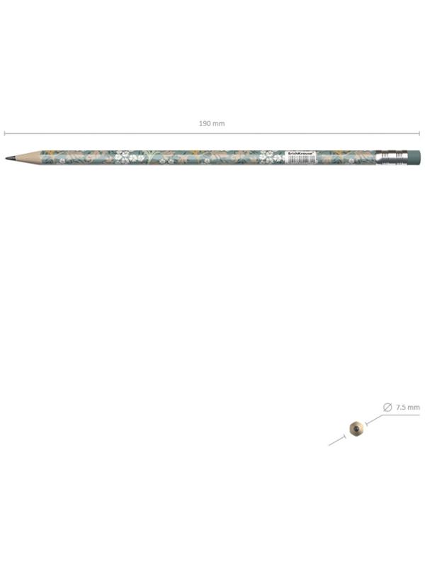 Карандаш чернографитный с ластиком ErichKrause Natural Life (простой), HB, грифель d 2.2 мм, трeхгранный, с принтом, из люкс древесины, микс