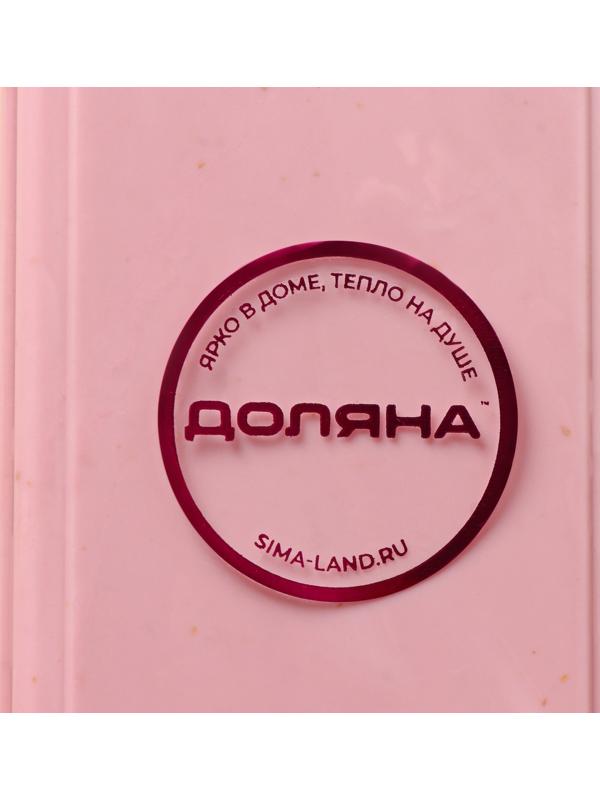 Футляр для столовых приборов Доляна, 21×5,5×2,2 см, цвет МИКС