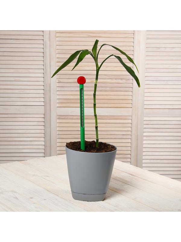 Термометр для измерения температуры почвы и воды, Greengo