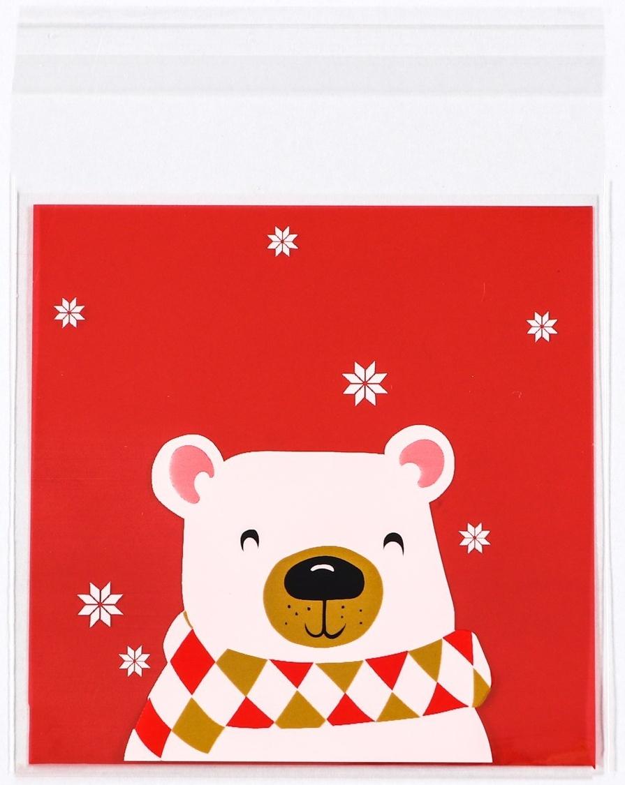 Пакет БОПП с липкой лентой, 