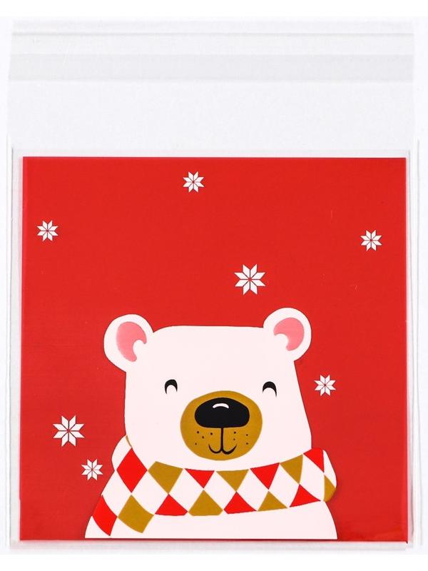 Пакет БОПП с липкой лентой, 