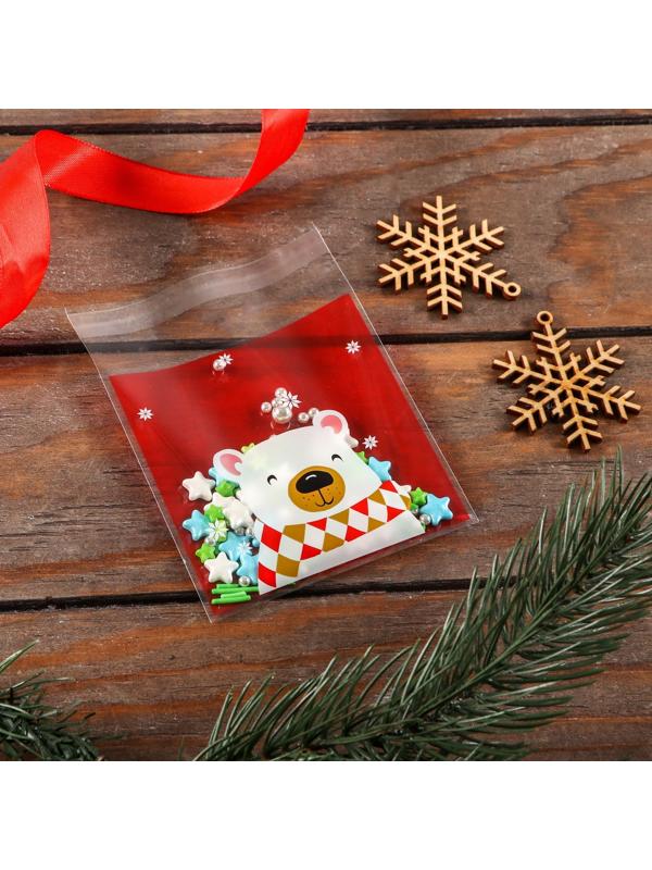 Пакет БОПП с липкой лентой, 