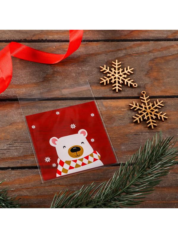 Пакет БОПП с липкой лентой, 