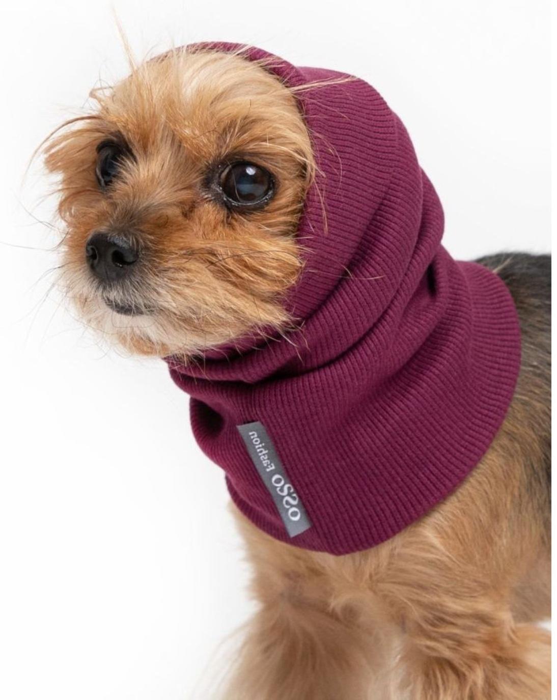 Капор трикотажный для собаки, размер M (Диаметр 32-50 см, Длина 33 см), бордовый
