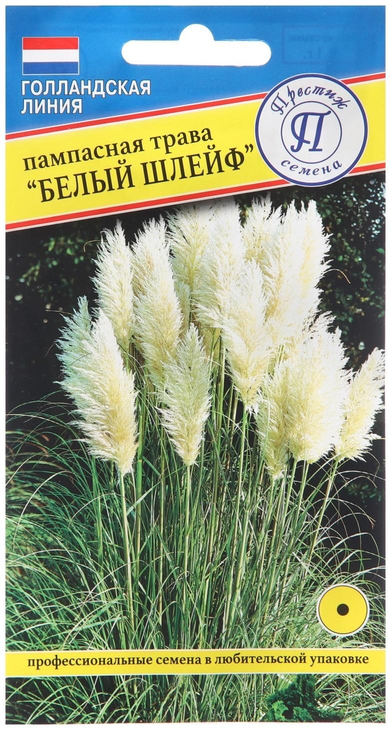 Семена цветов Пампасная трава 